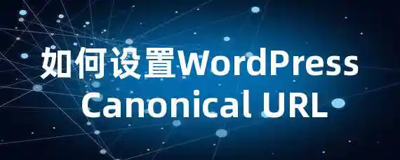 如何设置WordPress Canonical URL？