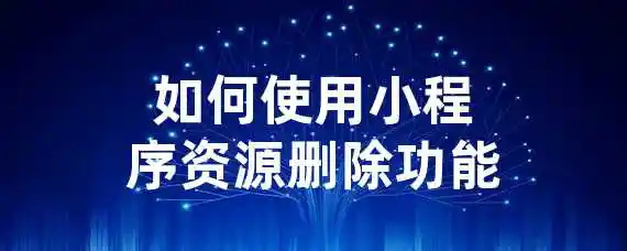 如何使用小程序资源删除功能？