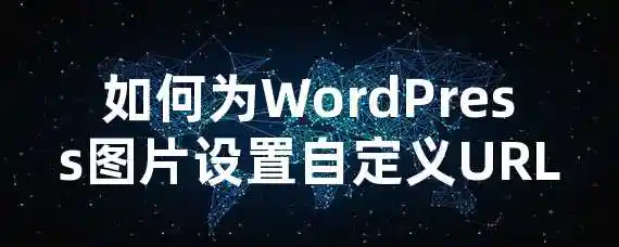 如何为WordPress图片设置自定义URL？