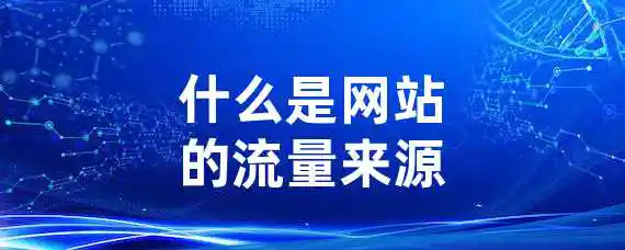 什么是网站的流量来源？