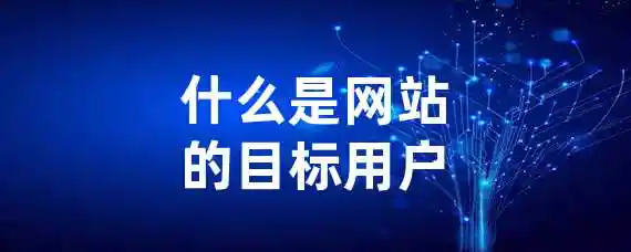 什么是网站的目标用户？