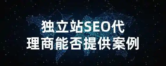 独立站SEO代理商能否提供案例？