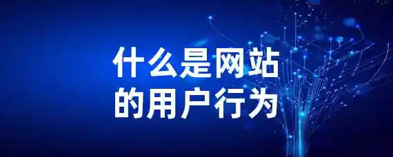 什么是网站的用户行为？