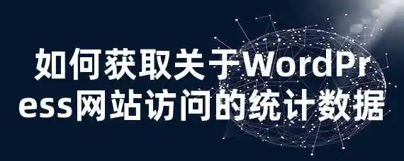 如何获取关于WordPress网站访问的统计数据？