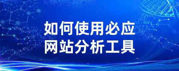 如何使用必应网站分析工具？