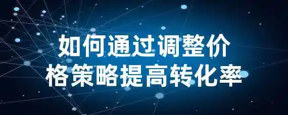 如何通过调整价格策略提高转化率？