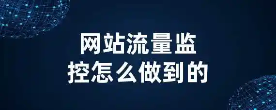 网站流量监控怎么做到的