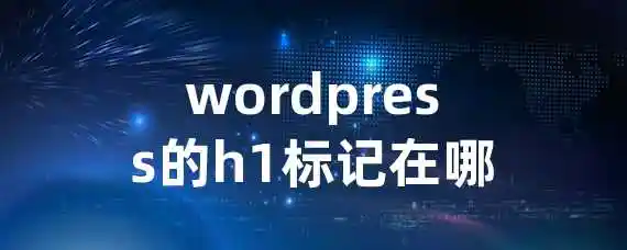 wordpress的h1标记在哪