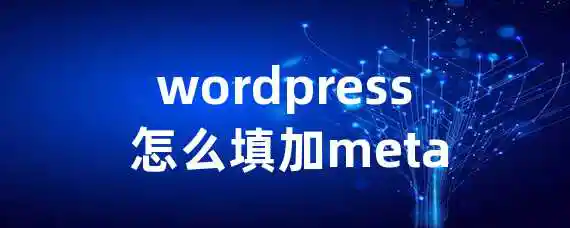 wordpress 怎么填加meta