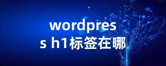 wordpress h1标签在哪