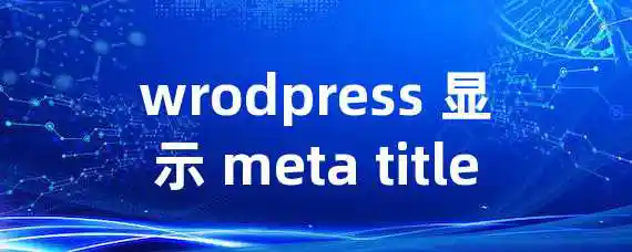 wrodpress 显示 meta title