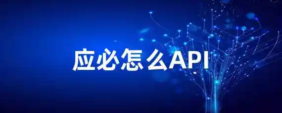 应必怎么API