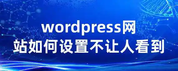 wordpress网站如何设置不让人看到