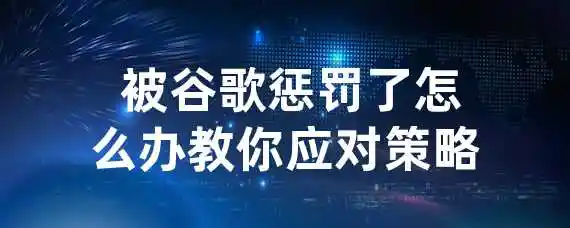  被谷歌惩罚了怎么办？教你应对策略！