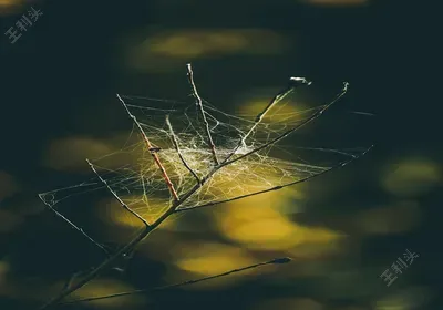 简述销售观念和市场营销观念的主要区别