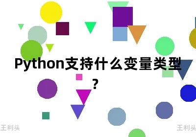 Python支持什么变量类型？